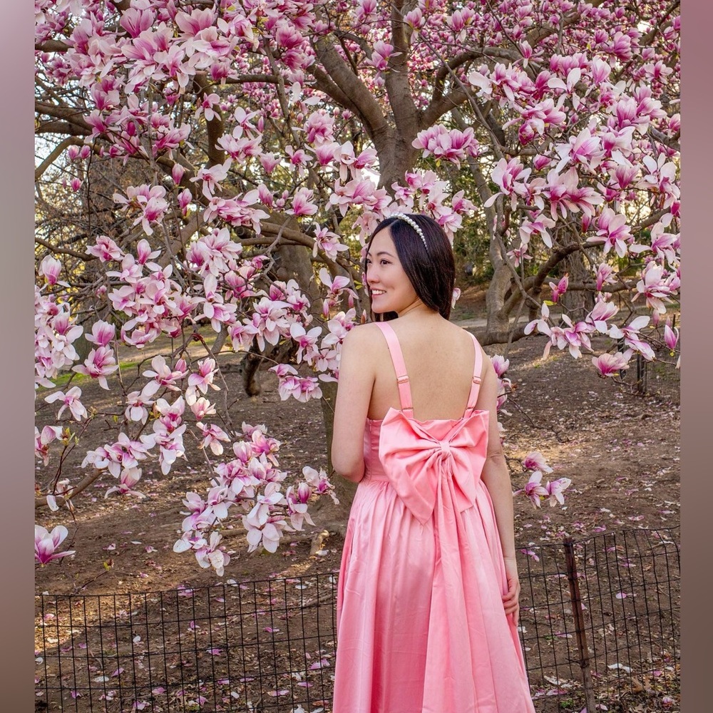 Light Pink Bow Maxi Dress